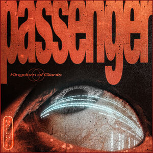 Passenger (Black Vinyl)