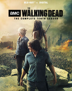 The Walking Dead: The Complete Tenth Season , Norman Reedus