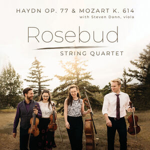 String Quartet in G major , Steven Dann