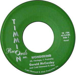 Wondering/ Wondering (Instrumental)