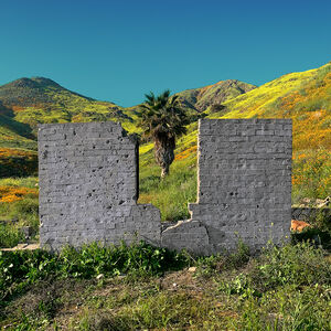 All Or Nothing , Shopping