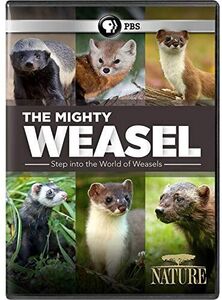 NATURE: The Mighty Weasel