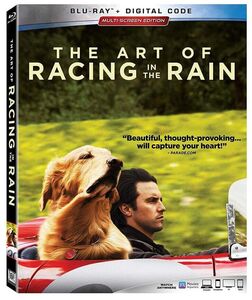 The Art of Racing In The Rain