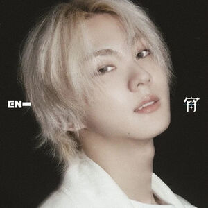 YOI - Jungwon Version - incl. 6pg Lyric Booklet, 2 Photo Strips, Instant Photo + Selfie Photocard [Import] , ENHYPEN