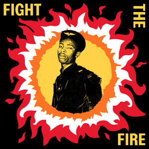 Fight The Fire: Digital Reggae, Conscious Roots And Dub In Nigeria 1986-91 (Various Artists) , Various Artists