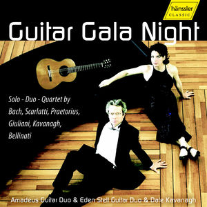 Guitar Gala Night , Amadeus Guitar Duo