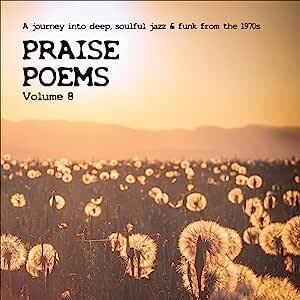 Praise Poems Vol 8 /  Various [Import]