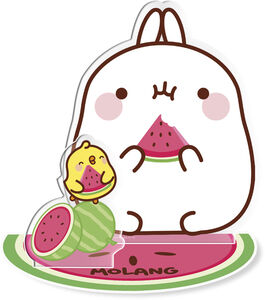 MOLANG - MOLANG WATERMELON ACRYL