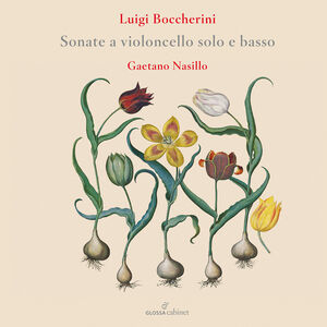 Flute Concertos , Gaetano Nasillo
