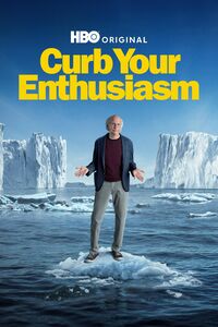 Curb Your Enthusiasm: The Complete Twelfth Season