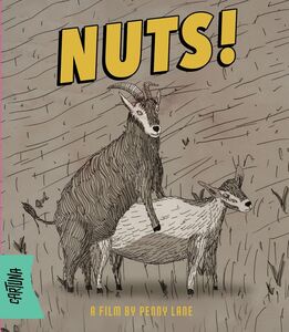 Nuts!