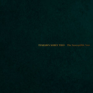 The Susceptible Now , Tyshawn Sorey Trio