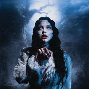 Surrender , Amira Elfeky