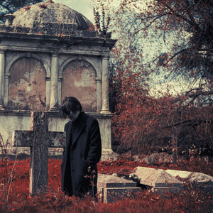 Requiem for a Village , Steven Wilson