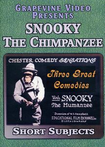 Snooky the Chimp