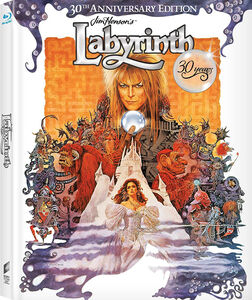 Labyrinth [Import]