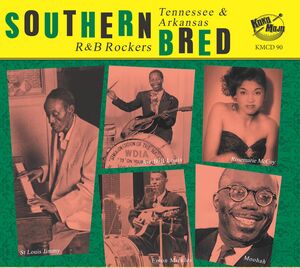 Southern Bred 24 Tennessee R&B Rockers: Dippin Is My Business (Various Artists)