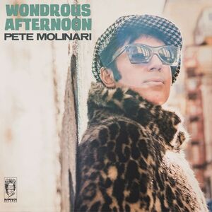 Wondrous Afternoon , Pete Molinari