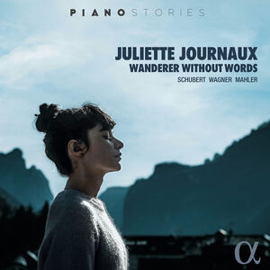 Wanderer Without Words , Juliette Journaux