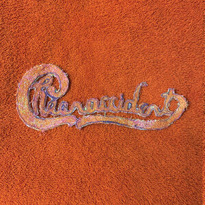 Chicago Xx , Cheer-Accident