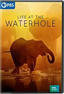 Life at the Waterhole