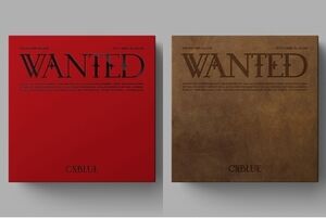 Wanted (incl. 80pg Booklet, Postcard Set, Film Photo + Selfie Photocard) [Import]