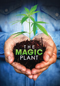 The Magic Plant