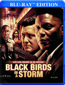 Black Birds In A Storm