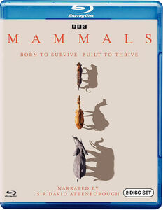 Mammals