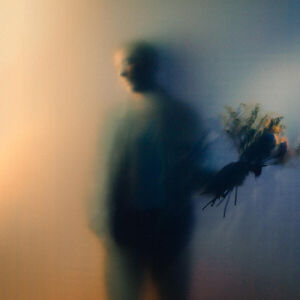 Bloom , Ben Bohmer