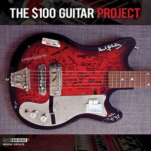 $100 Guitar Project /  Various