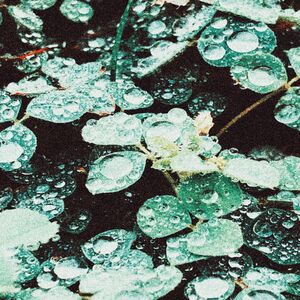 Rain Chamber , Sadness