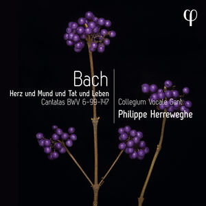 Erz Und Mund Und Tat Und Leben - Cantatas, BWV , Philippe Herreweghe