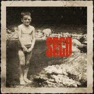 Seco [Import] , Ricardo Arjona