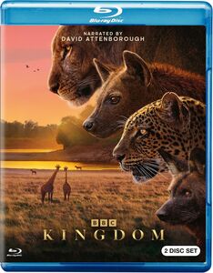 Kingdom 