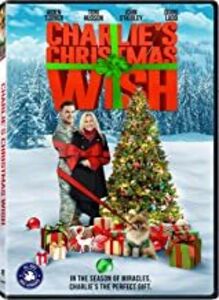 Charlie's Christmas Wish , Aiden Turner