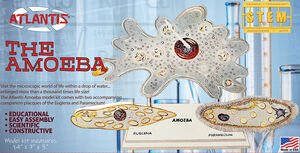 Atlantis - STEM Model Kit - The Amazing Amoeba
