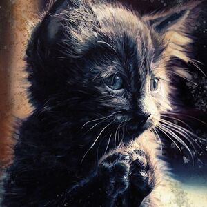 Pussy Disco , Perzeptiver Dampfkessel Qualmt Besinnlich
