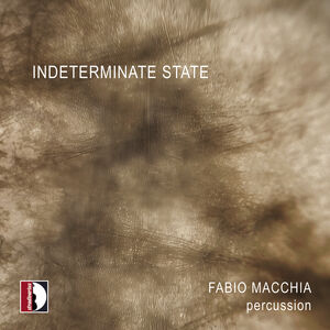 Indeterminate State - Fabio Macchia , Fabio Macchia