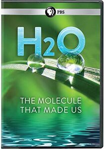 H2O: The Molecule That Made Us
