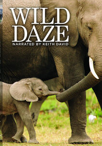 Wild Daze , Keith David