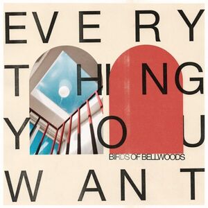 Everything You Want , Birds of Bellwoods