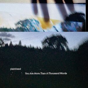 You Are More Than A Thousand Words , Plainhead