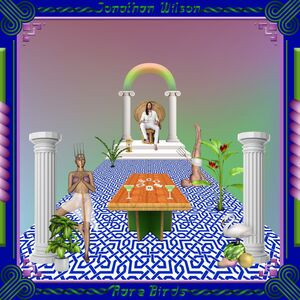 Rare Birds , Jonathan Wilson