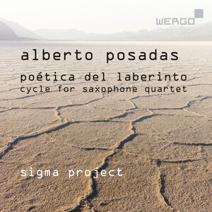 Poetica Del Laberinto , Sigma Project