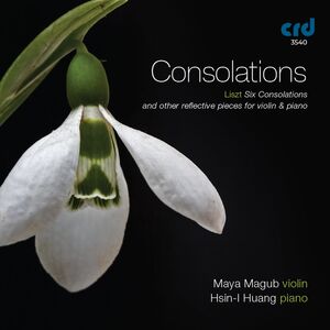 Consolations , Maya Magub