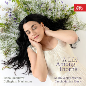 Lily Among Thorns , Lenka Torgersen