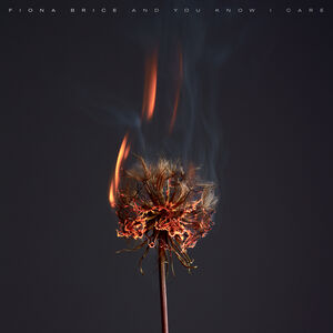 And You Know I Care , Fiona Brice