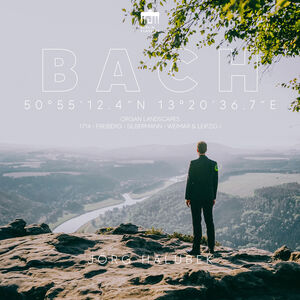 50 55' 12.4 N 13 20 36.7 E - Organ Landscapes , Jorg Halubek