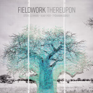 Thereupon , Fieldwork